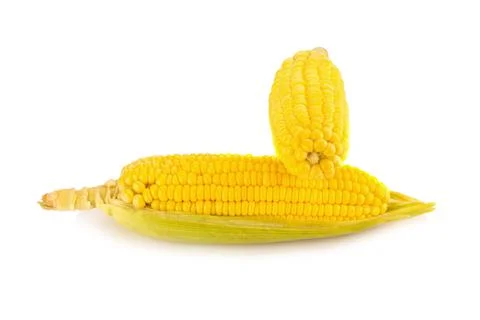 Corn on white background Stock Photos