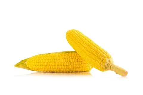 Corn on white background Stock Photos