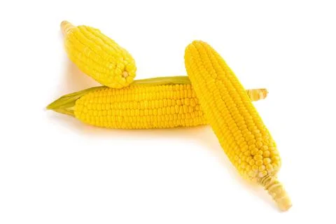Corn on white background Stock Photos