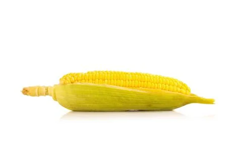 Corn on white background Stock Photos