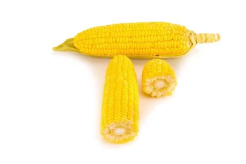 Corn on white background Stock Photos