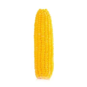 Corn on white background Stock Photos
