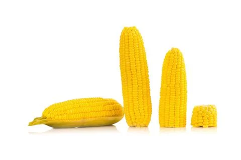 Corn on white background Stock Photos