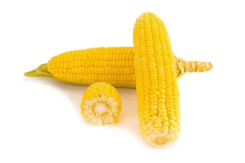 Corn on white background Stock Photos