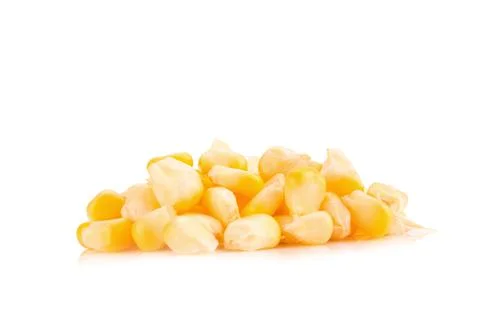 Corn on white background Stock Photos
