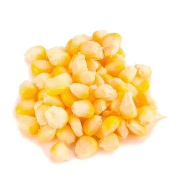 Corn on white background Stock Photos