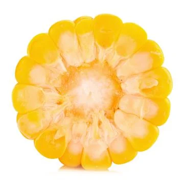 Corn on white background Stock Photos