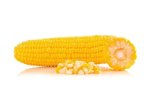 Corn on white background Stock Photos