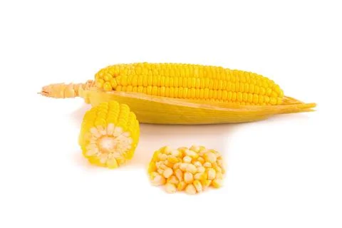 Corn on white background Stock Photos