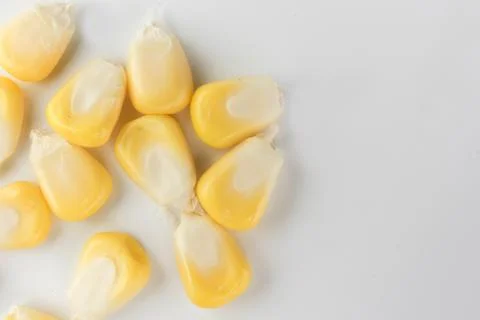 Corn on a white background Stock Photos