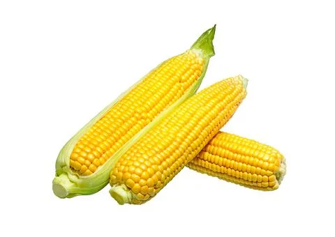 Corn on white Stock Photos