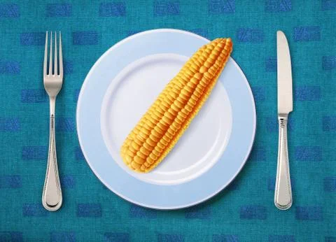 Corn on white plate Stock Photos