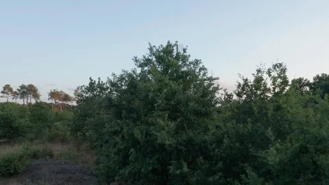 Corn windmill in nature standing still with the blades in Heimolen, belgium Video stock 123090283