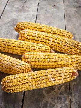 Corn on wooden background Foto stock