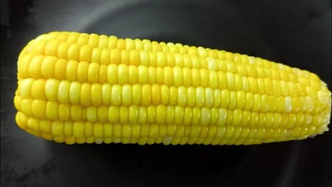 Corn2 Stock Footage 328441086