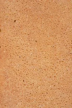 Cornbread Bottom Texture Stock Photos
