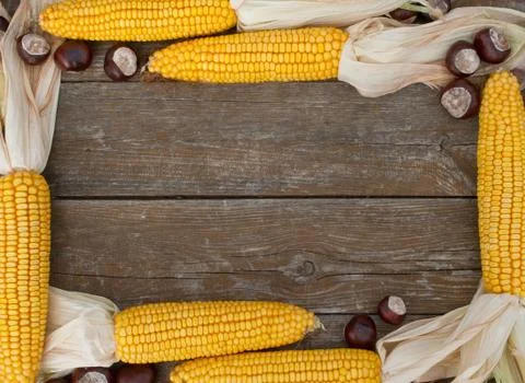 Corn&amp;chestnuts Stock Photos