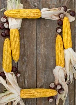 Corn&amp;chestnuts Stock Photos