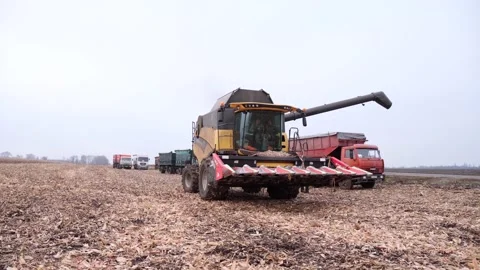 Corncob harvester, corn harvesting inside the cab of a combine, agriculture, tra Stock Footage 232612543