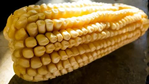 Corncob - Natural Foto stock
