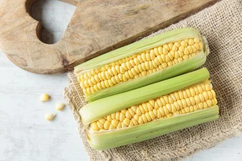 Corncob Stock Photos