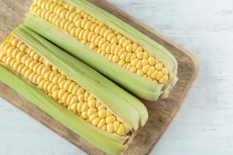 Corncob Stock Photos