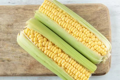 Corncob Stock Photos