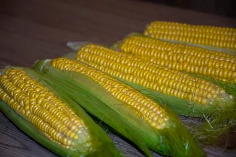 Corncob on the table table summer tasty healthy food ripe tasty yellow Stock Photos