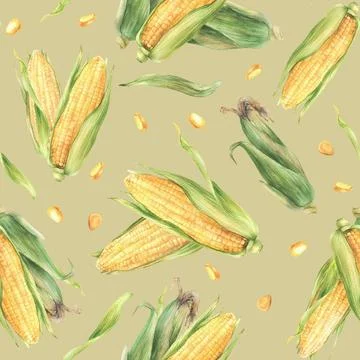 Corncobs, maize vegetable watercolor seamless pattern. Yellow cut, whole corn Stock Illustration