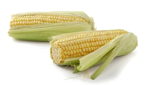 Corncobs Stock Photos