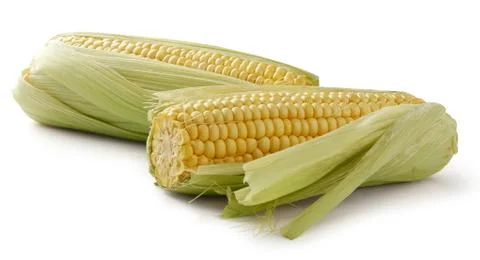 Corncobs Stock Photos
