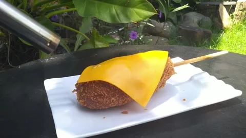 Corndog Torch Stock Footage 241543780