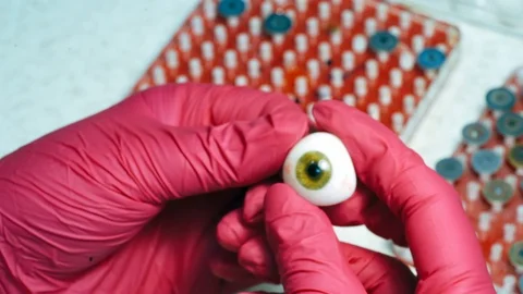 Cornea, the outer, transparent structure of plastic eye in hands. Video stock 117763606