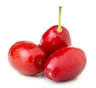 Cornel berries Stock Photos