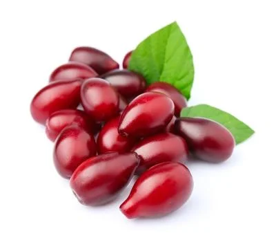 Cornel with leaf Foto stock