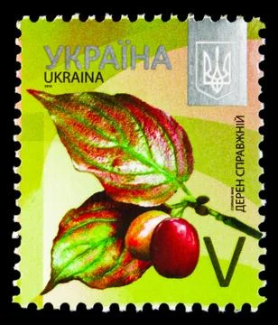 Cornelian Cherry (Cornus mas), Eighth Definitive Issue - Trees serie, circa.. Stock Photos