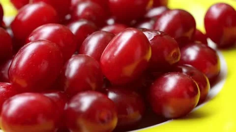 Cornelian cherry (Cornus mas) Stock Footage 15202775