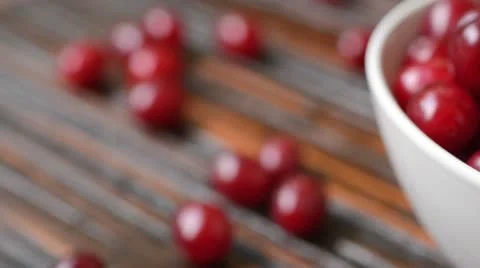 Cornelian cherry (Cornus mas) Stock Footage 15203161