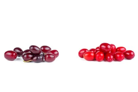 Cornels isolated on a white background Stock Photos