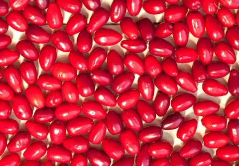 Cornels Stock Photos