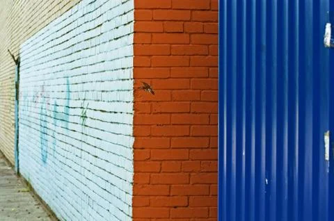 Corner and painted wall Stock Photos