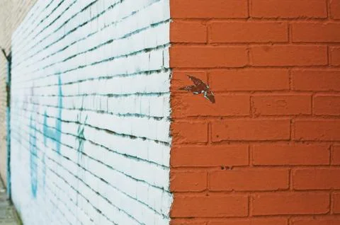 Corner and painted wall Stock Photos