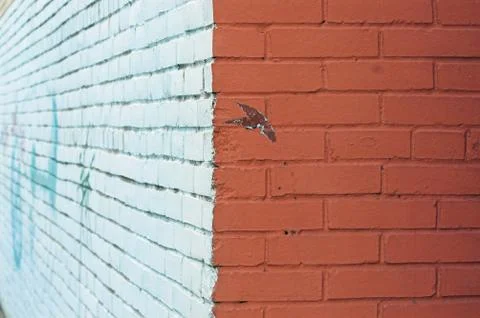 Corner and painted wall Stock Photos