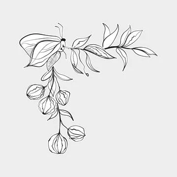 Corner Botanical Moth Branch Line Art Stock Illustration