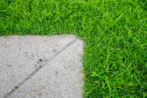 The corner of cement with green grass Stock Photos