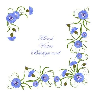 Corner composition with cornflowers and leaves Stock Illustration