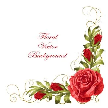 Corner composition with roses and leaves Illustrazione stock