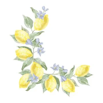 Corner decor of lemon branches and lemons in watercolor style vector Stock Illustration
