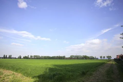 Corner of a field Stock Photos