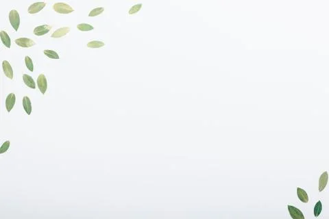 Corner flat lay composition of dry green leaves Stock Photos